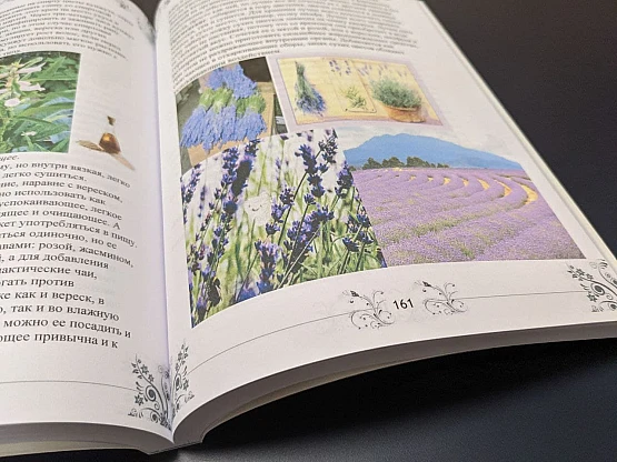 Робота Популярні видання | PrintTo: